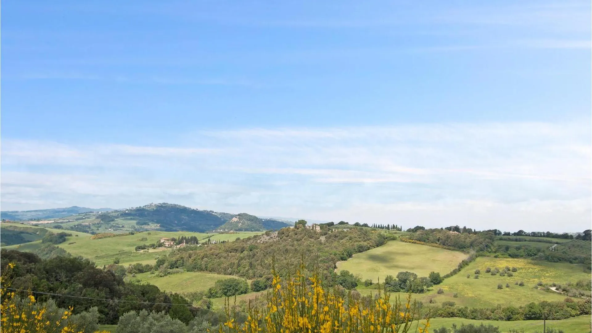 Verdi Montaione